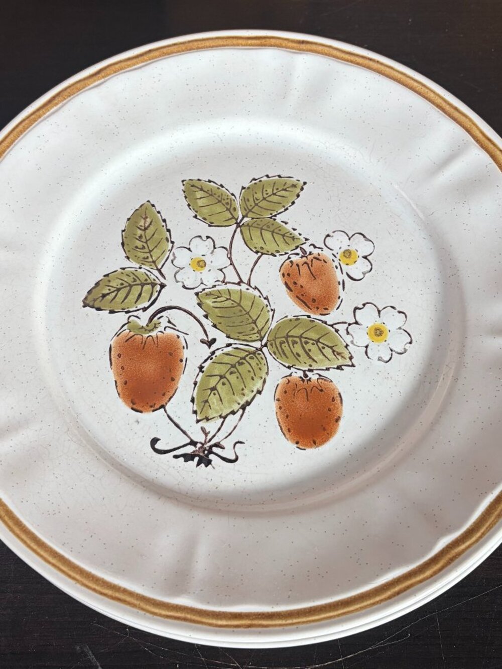 Americana Hearthside Stoneware Berries 'n Cream 6 Dinner Plates 10 1/2" Vtg